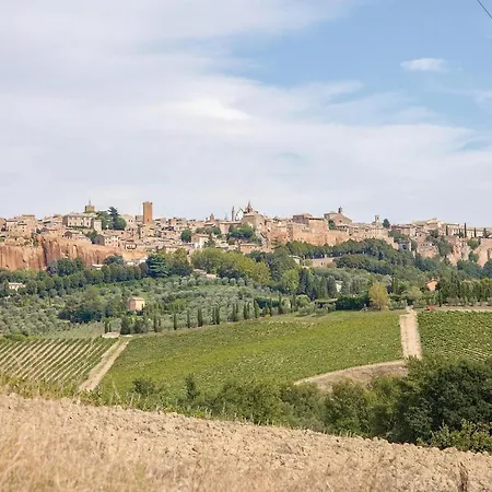 Alfina 1 Lejlighed *